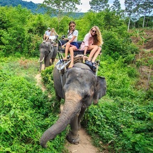 viajar a sri lanka con amigos 4